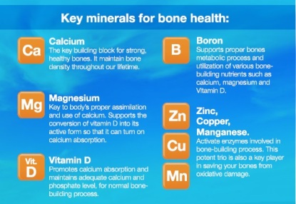 mineral untuk tulang